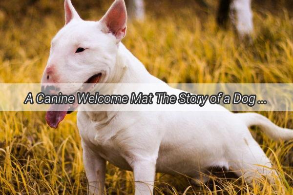 A Canine Welcome Mat The Story of a Dog Who Treats Everyone Like a Guest